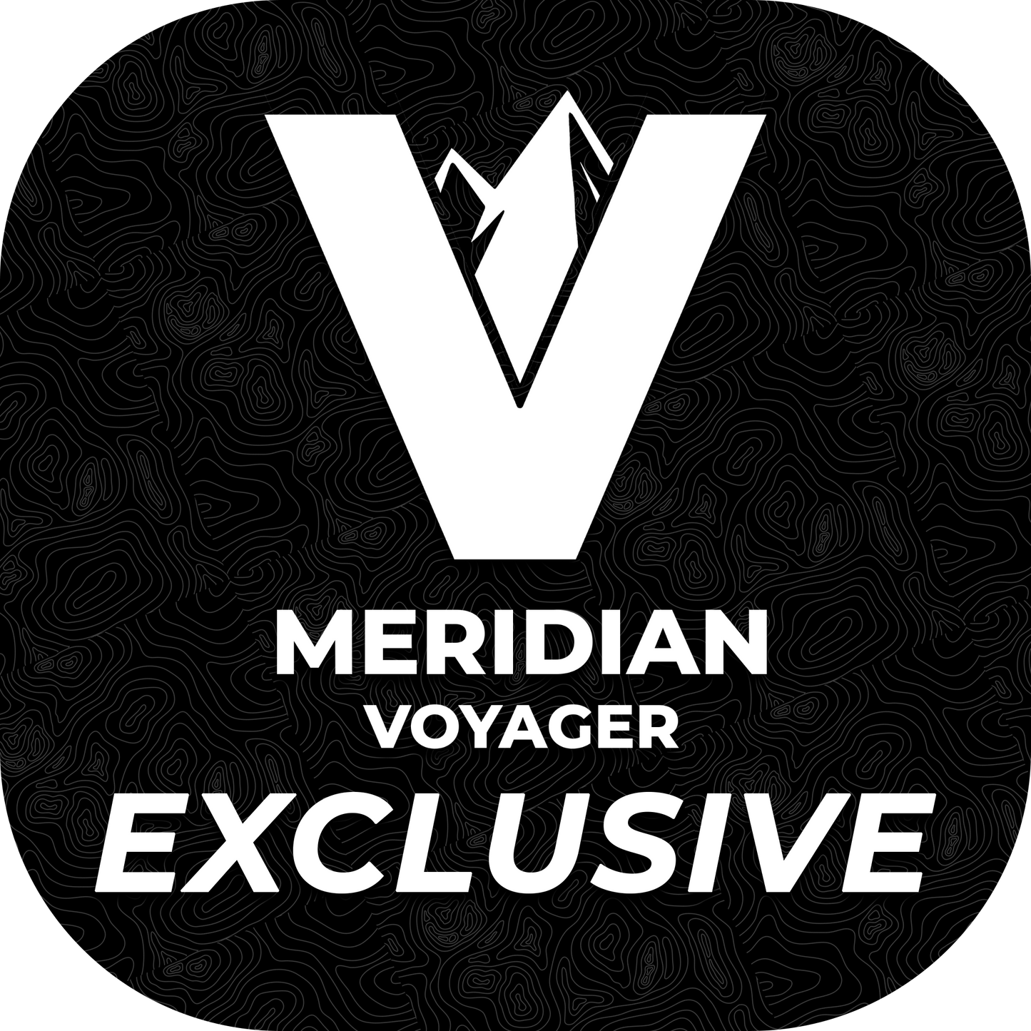 Meridian Logo Vinyl (Voyager Exclusive)